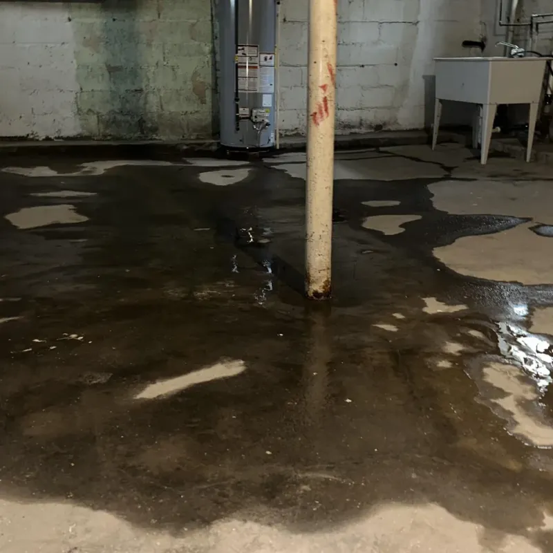 Emergency Water Extraction And Removal in Buzzards Bay, MA